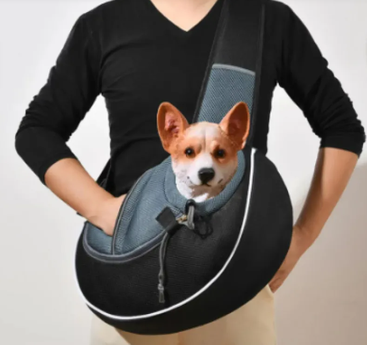Pet Carrier Bag for Cats & Dogs